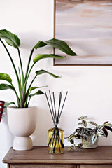 ULTIMATE REED DIFFUSER (1 Litre)