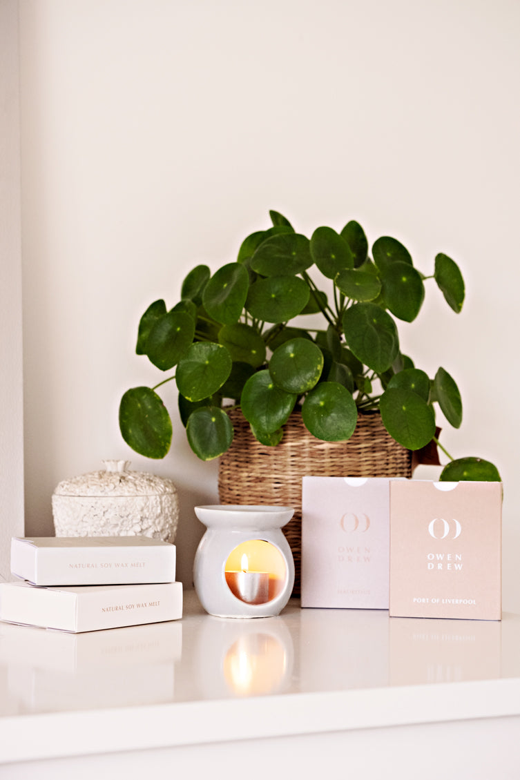 WAX MELT SUBSCRIPTION Owen Drew England